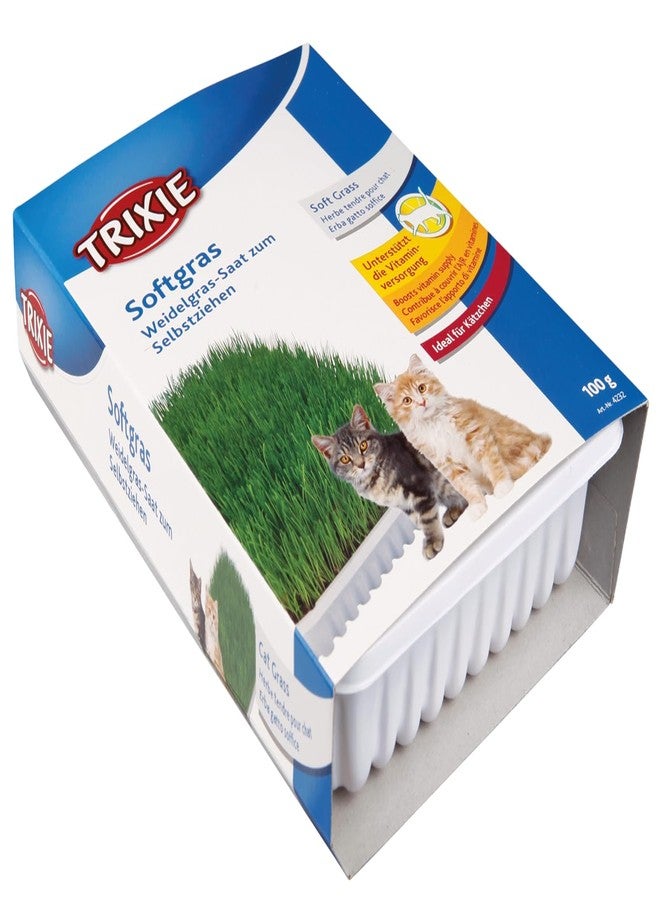 Trixie Cat Grass Seeds with Plastic Planter for Kittens and All Cats, Soft, Vitamin-Rich, Easy Grow, Nutritious & Natural, Supports Health & Digestion, 100 g - Image 1